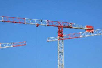 Naklejka premium Cranes