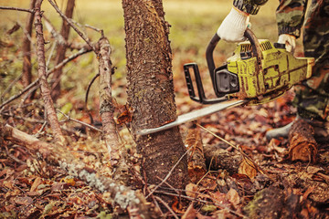Chainsaw.
