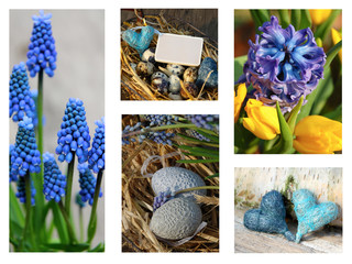 Grußkarte Frühling - Collage Osterblumen blau