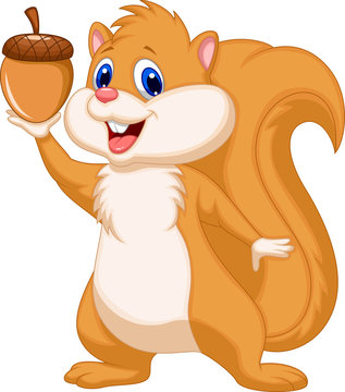 Squirrel cartoon with nut