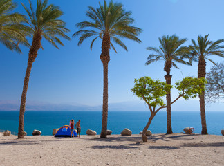 romantic getaway on the beach under palm trees