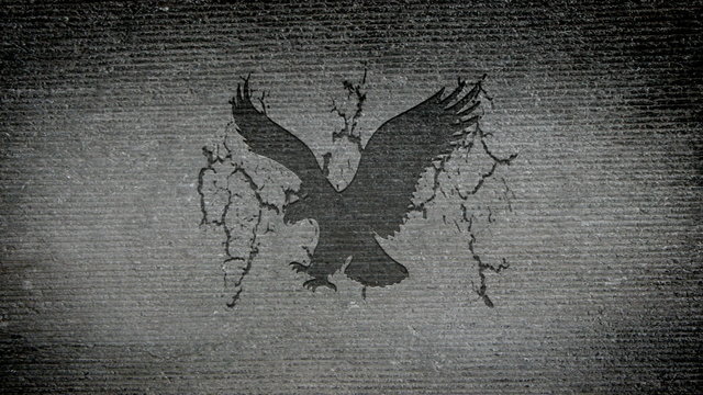 American Eagle appearing in a granite wall