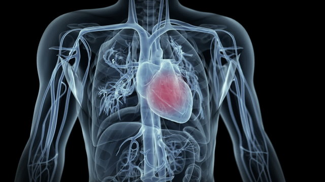beating heart - sharp pain