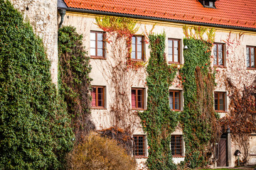 Fototapeta premium Green wall of old Palace in Pieskowa Skala,Poland, near Cracow