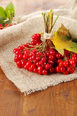 Red berries of viburnum