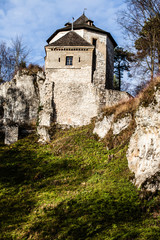 Fototapeta na wymiar Ruiny zamku na szczycie wzgórza w Ojcowie, Polska