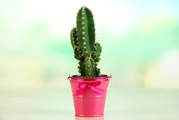 Beautiful cactus in bright pail on wooden table