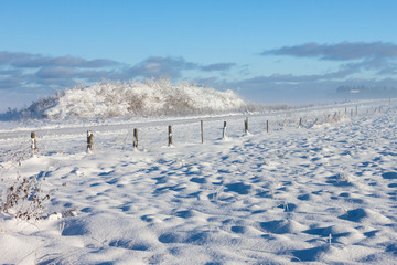 Barbed wire fence winter landscape