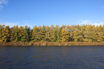 fall trees by blue water