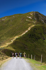Fototapeta premium Wandern als Gruppe