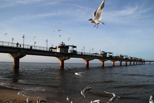 Misdroy/ Polen (Miedzyzdroje)