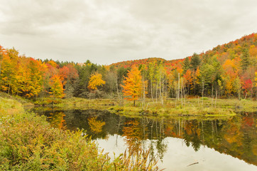 Autumn Landscape with Cloudy Sky and Reflection in Water