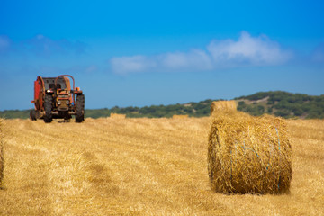 Menorca combine tractor wheat with round bales