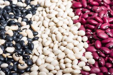 Dried beans in several colors