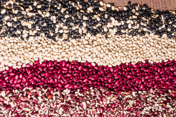 Dried beans in several colors