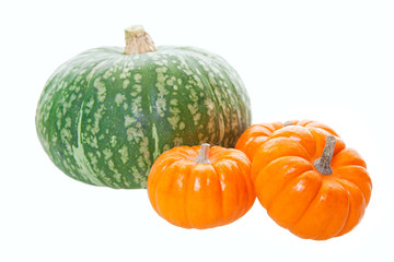 Pumpkins & Squash