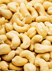 Group of Cashew