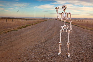Country Roads Skeleton
