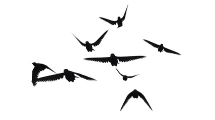 鳥のシルエット