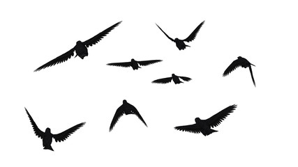 鳥のシルエット