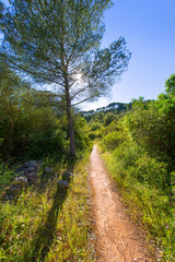 Menorca mediterranean track in es Mitjorn Gran