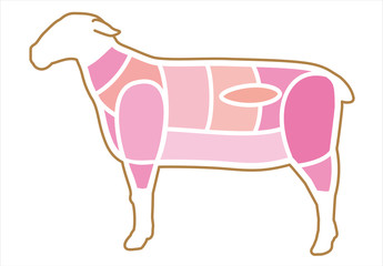 羊肉の部位