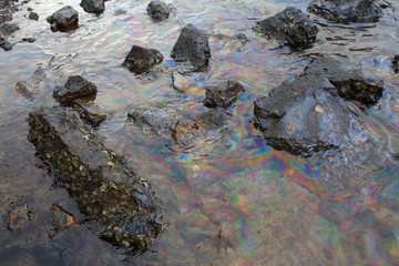 crude oil in sea water and rainbow reflection