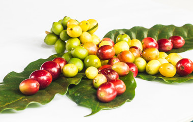 Fototapeta na wymiar coffee bean and green leaf