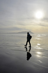 lone beach walker