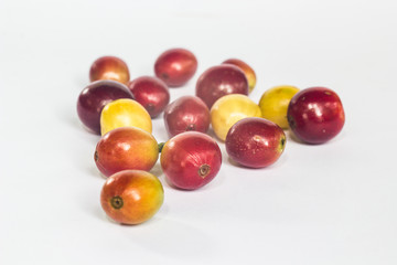 coffee bean and green leaf