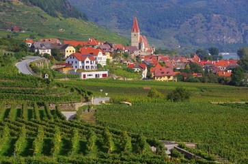 Weissenkirchen in der Wachau - Weissenkirchen in Wachau 08