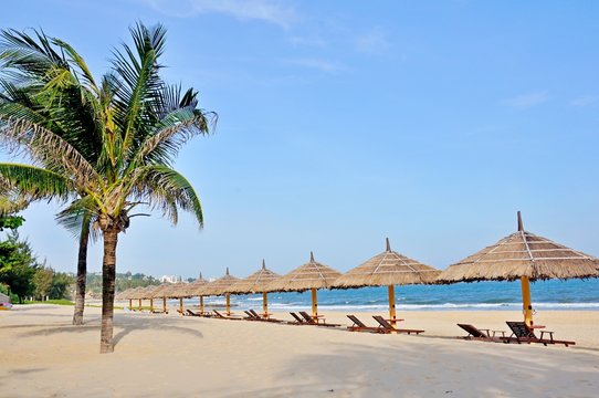 Beds and umbella on the beach