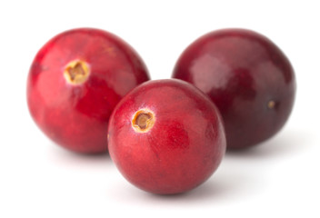 Cranberry isolated on white background closeup