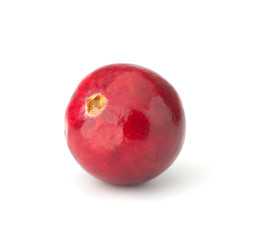 Cranberry isolated on white background closeup