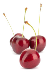 Cherry isolated on white background