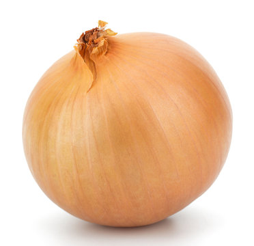 Fresh bulbs of onion on a white background