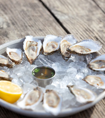 raw oysters