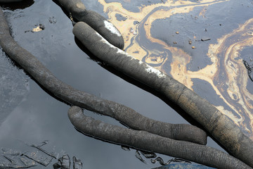 crude oil spill on the beach © rufous