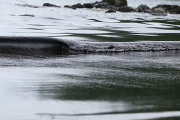 crude oil spill on the beach