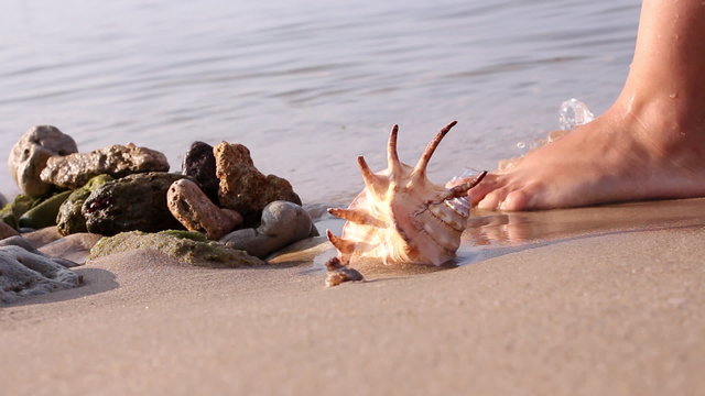 Young Lady walk on the beach.