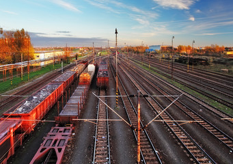 Fototapeta premium Train freight station - Cargo transportation