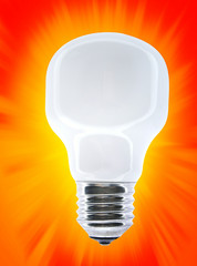 White bulb