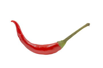 Eine Chilischote auf weißem Hintergrund