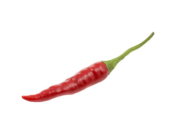 Eine rote Chilischote auf weißem Hintergrund