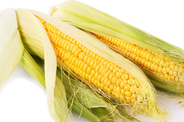 Corn cobs