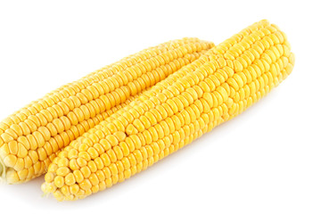 Corn cobs
