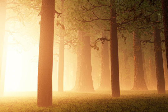 Deep Forest Fairy Tale Scary Scene 3D render