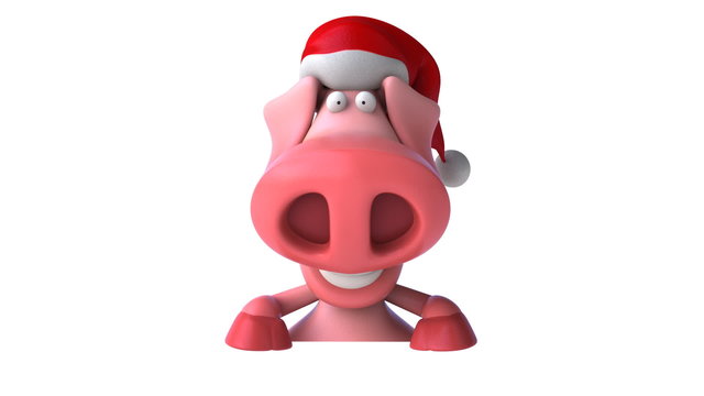 Pig