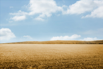 Obraz premium Bright brown landscape