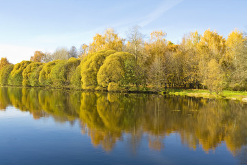 Autumn lake